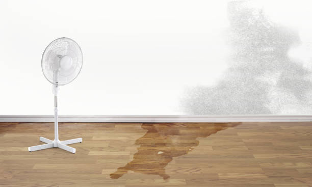 Best Flood restoration services  in Mount Hermon, VA