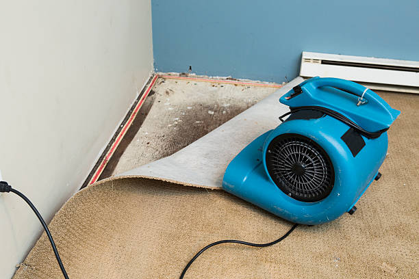 Best Basement water damage restoration  in Mount Hermon, VA